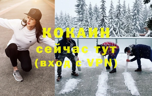 прущие грибы Алзамай