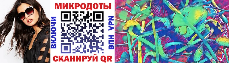 Галлюциногенные грибы прущие грибы Апшеронск